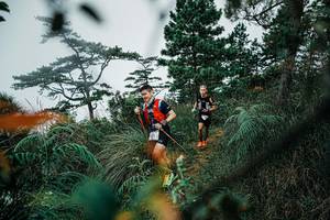 BIB: 
                            <button type="button" onclick="openModal(25258720)" class="btn btn-primary btn-sm float-right btn-popup" data-toggle="modal" data-target=".modal-high-quality">
                        <i class="fas fa-shopping-cart"></i> Add to Cart
                    </button>
                                            <button type="button" onclick="isThisMe(25258720, true)" class="btn btn-success btn-sm float-right btn-popup btn-isme hidden" data-toggle="tooltip" data-placement="bottom" title="นี่คือรูปของคุณใช่ไหม คลิกที่นี่เพื่อเอาเข้าอัลบั้ม">
                        <i class="fas fa-plus"></i> Add to album
                    </button>
                    <button type="button" onclick="isThisMe(25258720, false)" class="btn btn-warning btn-sm float-right btn-popup btn-isnotme hidden">
                        <i class="fas fa-ban"></i> Remove from album
                    </button>